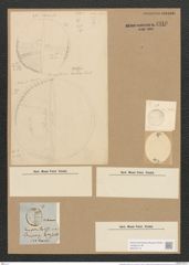 Campylodiscus ralfsii W. Sm. (de-Toni-Nr.: Genus 57, Species 2444) Zeichnungen Sammlung Grunow Nr. 4910 (NHMW-BOT-W0373113)